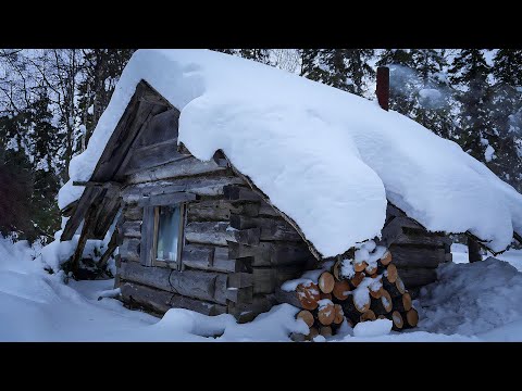 Видео: УЕХАЛ ЖИТЬ В СТАРУЮ  ИЗБУШКУ. ОГРОМНЫЕ ОКУНИ ГНУТ КРЮЧКИ. РЫБАЛКА.