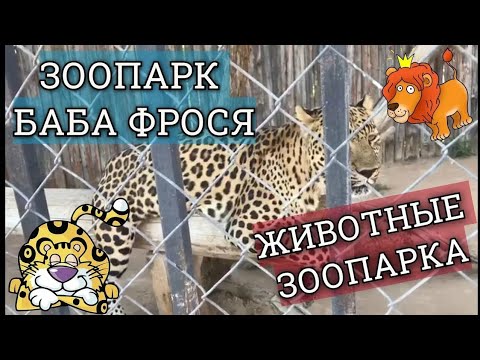 Видео: Обзор на Зоопарк Баба Фрося  без Вики часть (2)