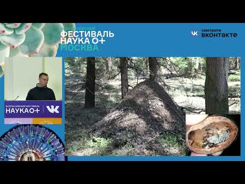 Видео: Моделирование муравейников. Бургов Евгений Вадимович