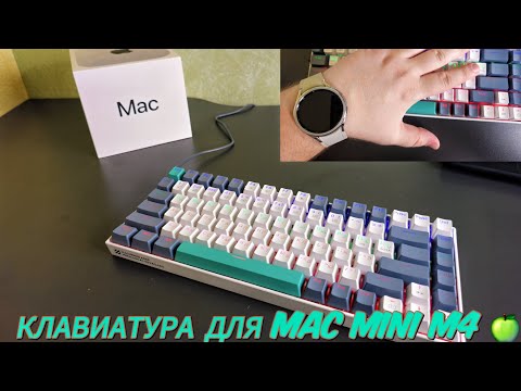 Видео: ЛУЧШАЯ БЮДЖЕТНАЯ КЛАВИАТУРА 🖥  ДЛЯ ТВОЕГО Mac Mini m4 🍏