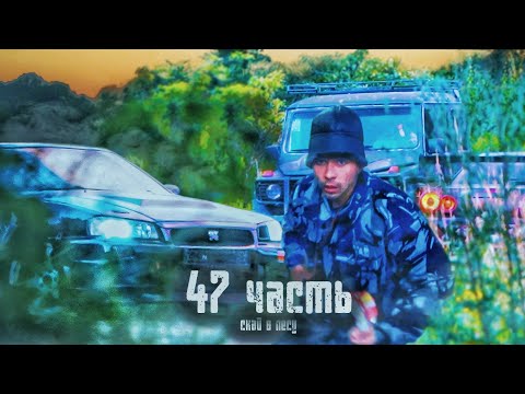 Видео: ЧТО делает NISSAN GTR в ЛЕСУ?? кто крышует субаристов? - 47 часть