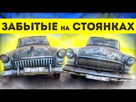 Видео: ЗАБРОШЕННЫЕ ВОЛГИ, ИДЕАЛЬНЫЕ ДРОВА ПО ЦЕНЕ ЧЕРМЕТА