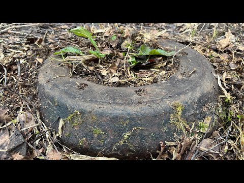 Видео: ОТЛИЧНЫЕ НАХОДКИ! И ПОЧТИ ВСЕ СВЕРХУ! МЕТАЛЛОКОП НА МЕСТАХ БОЕВОЙ СЛАВЫ!