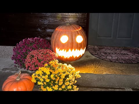 Видео: Знайшли те що шукали 