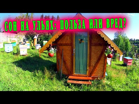 Видео: Про апидомик из ОСБ? // Польза или вред??