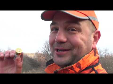 Видео: ХАЙКА ЗА ХИЩНИЦИ В ПОДВИС 2019г.