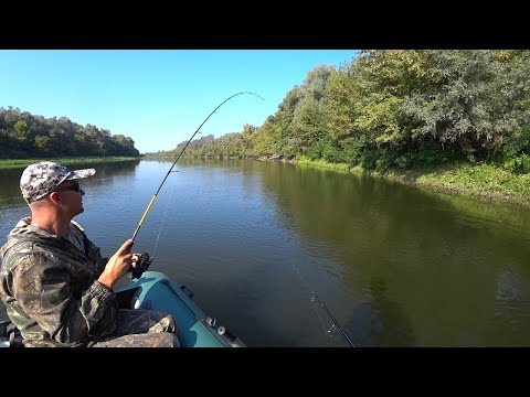 Видео: Вертушки Обловили Все Остальные Приманки. Спиннинг