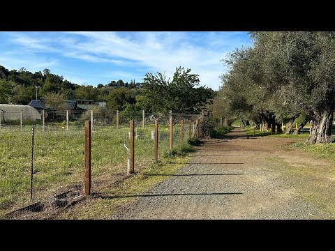 Видео: Воскресный хайк в Los Altos hills. Прогулка часов на 5. Давайте к нам!