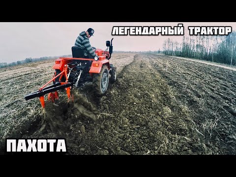 Видео: ПАХОТА  легенда тракторов Shifeng sf 240 плугами 1К220