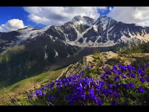 Видео: Лезгинские песни! Ялзава чуьллери!