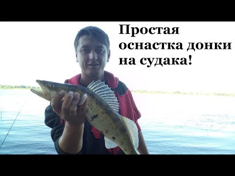 Видео: Самая простая оснастка для ловли судака с берега на малька! выпуск № 28