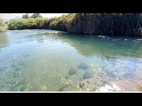 Видео: Река Тель- Дан.Красота и мощь!