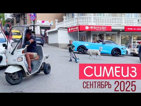 Видео: СИМЕИЗ По-Быстрому! 20 сентября 2025 год