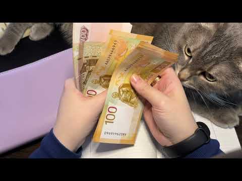 Видео: Распределение денег по конвертам. Зарплата Сентябрь 