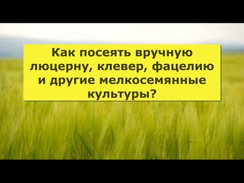 Видео: 19. Как посеять вручную люцерну, клевер, фацелию и другие мелкосемянные культуры?