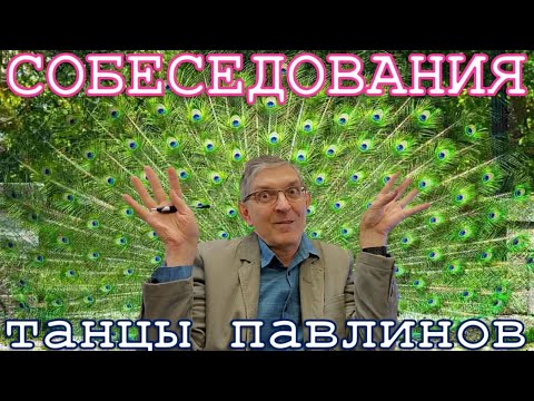 Видео: О собеседованиях с сарказмом. Мой опыт