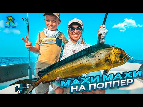 Видео: Рыбалка на Попер в Фуджейре . Приготовили рыбу в Ресторане