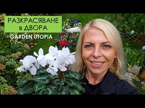 Видео: РАЗКРАСЯВАНЕ в ДВОРА: #Ден 51 от 90 ДНИ НА СЕЛО