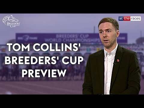 Видео: «Он ОДНОЗНАЧНО лучший!» 🗣️ | Превью Кубка заводчиков Тома Коллинза и Люка Элдера