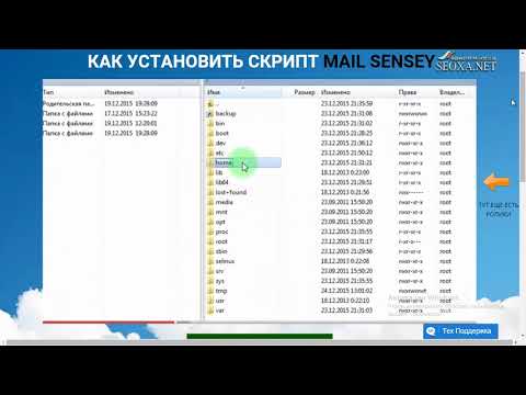 Видео: 4  mailwizz Установка скрипта Mailwizz