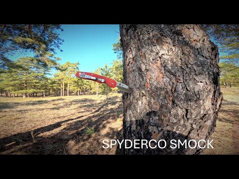 Видео: Тёплый осенний день.Впечатления от ножа Spyderco Smock.