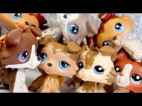 Видео: LPS: МОЯ КОЛЛЕКЦИЯ КОЛЛИ