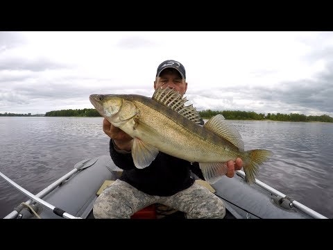 Видео: Как поймать судака если   джиг молчит ?