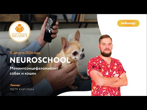 Видео: Вебинар "NEUROSCHOOL. Менингоэнцефаломиелит собак и кошек"