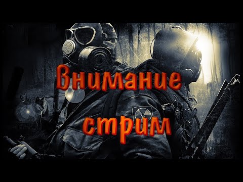 Видео: DayZ выжить в зоне  [RU] Grotesk Stalker PVE DZ 2|