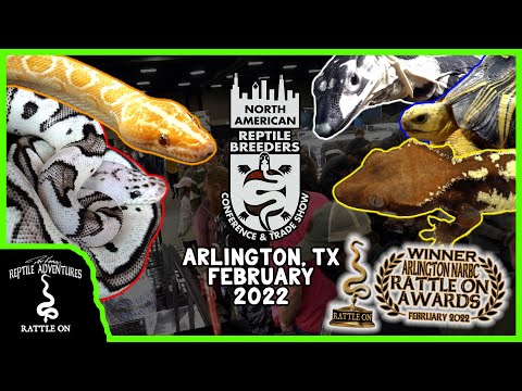 Видео: Выставка рептилий NARBC в Арлингтоне! (февраль 2022 г.)