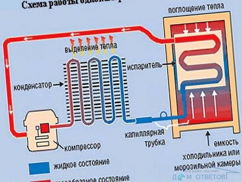 Видео: почему холодильник работает и не выключается