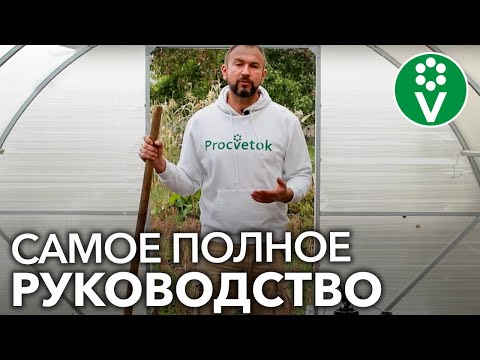 Видео: ПОДГОТОВКА ТЕПЛИЦЫ К ЗИМЕ ОТ А ДО Я! Уничтожаем все болезни и вредителей!