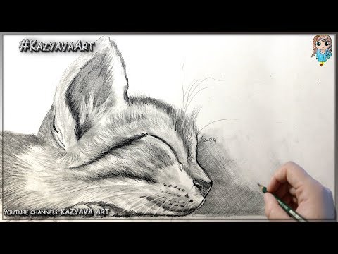 Видео: Как нарисовать котёнка карандашом 🐱‍👤
