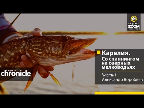 Видео: Карелия. Со спиннингом на озерных мелководьях. А. Воробьев. Часть 1. Anglers Chronicle.