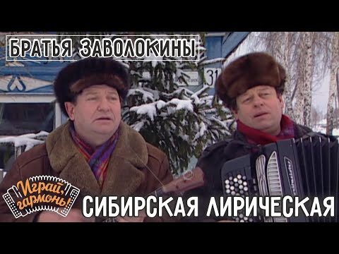 Видео: Сибирская лирическая | Братья Заволокины | Играй, гармонь!