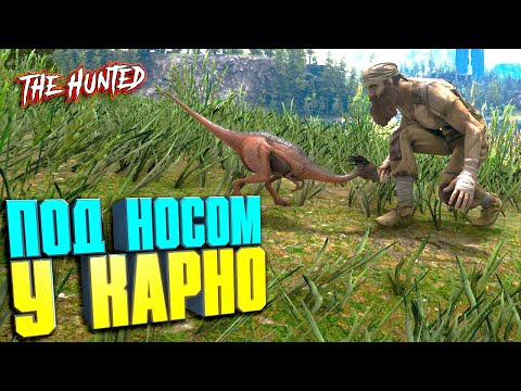 Видео: Под носом у стаи карнотавров #5 ARK с модом The Hunted на карте Valguero