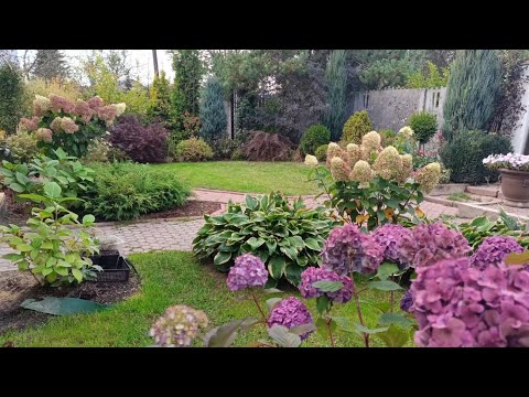 Видео: Привет! Осень! Дорогим и любимым.