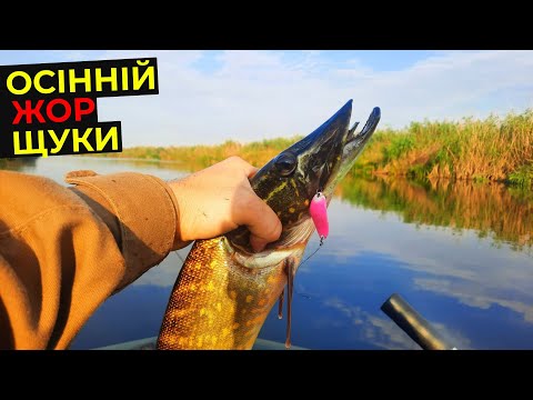 Видео: 😱 Осінній ЖОР щуки РОЗПОЧАТО !!!? ВЕРЕСЕНЬ Ловля ЩУКИ на СПІНІНГ