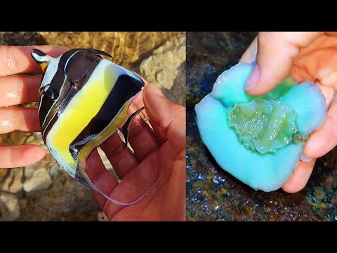 Видео: Это настоящие морские существа, и они очень вкусные. Таинственный остров