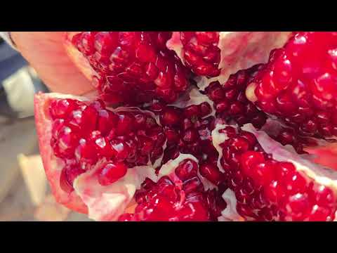 Видео: +992988305999  ватсап. Ниҳоли анор. Имруз анорҳои ҳавлиамонро чиндем.