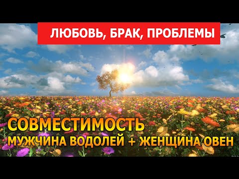 Видео: Совместимость мужчины Водолей и женщины Овен