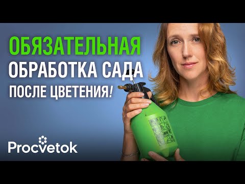 Видео: ПОСЛЕ ЦВЕТЕНИЯ ВСЕМ ДЕРЕВЬЯМ ОБЯЗАТЕЛЬНО дайте такую подкормку и обработку от болезней и вредителей