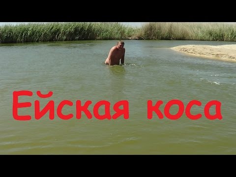 Видео: Остров Ейская коса