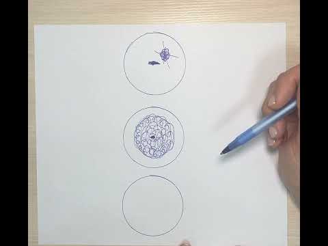 Видео: Эрозия и эктопия шейки матки