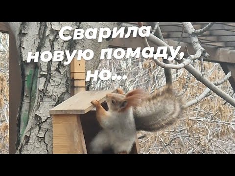 Видео: Сварила новую помаду 💄, что случилось дальше?