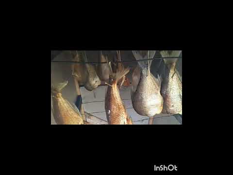 Видео: Быстрый холодный способ копчения рыбы. 
