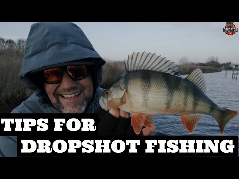 Видео: Раскрыта ШОКИРУЮЩАЯ правда о ловле окуня на дропшот | Видео о ловле на дропшот | #советыпорыбалке
