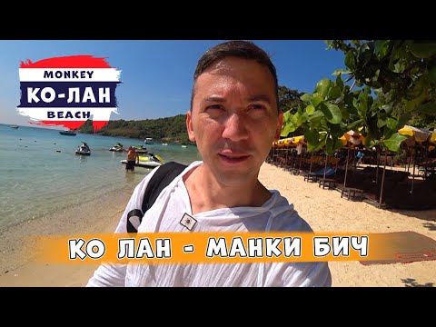 Видео: Паттайя. Остров Ко Лан. Пляж - Манки Бич (Monkey beach)