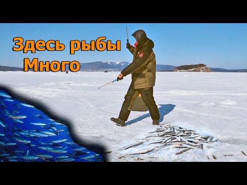 Видео: Рыбачить здесь мечта рыбака! Зубарь корюшка ходят косяком! Подбираем снасти для рыбалки.