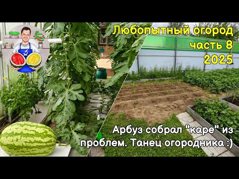 Видео: Любопытный огород часть 8 (2025).